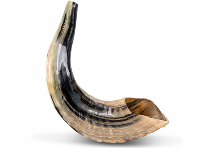 Shofar - Ram's horn