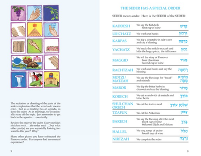A Family Haggadah II - for Preteen and Up [Paperback]