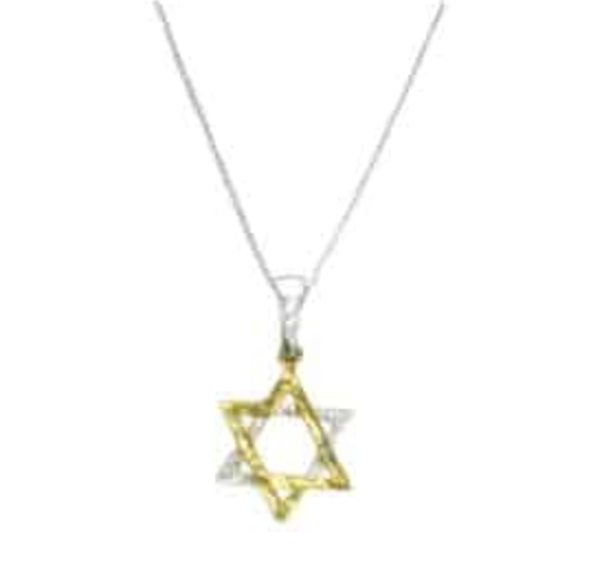 IMJ   Gold plated 2 tone Star of David Necklace