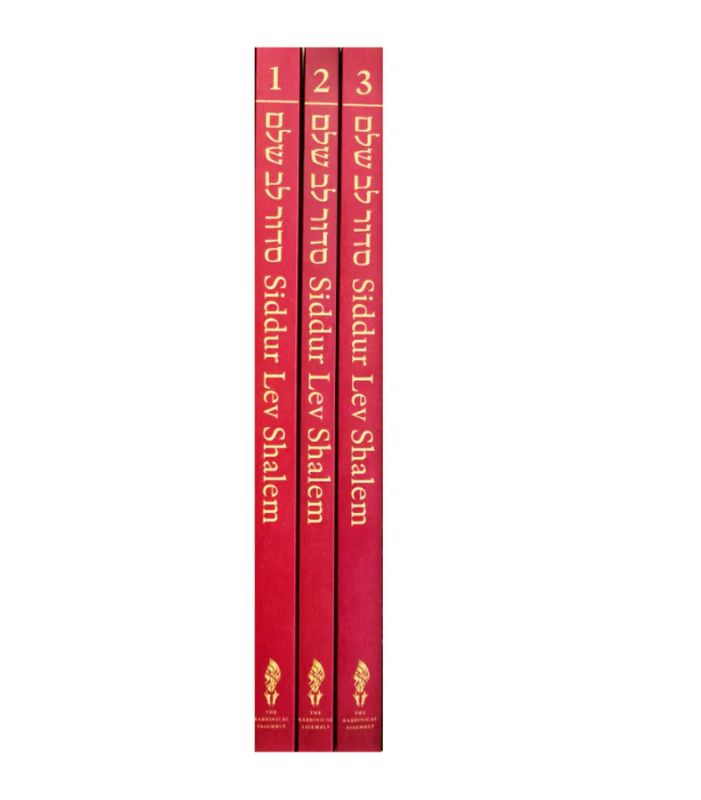 Siddur Lev Shalem Large Print Edition - 3 volume Set
