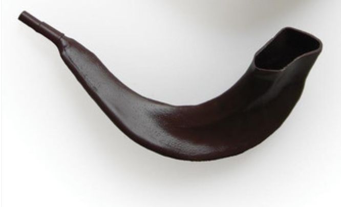 Real Looking Plastic Shofar Brn