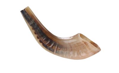 Shofar - Ram's horn