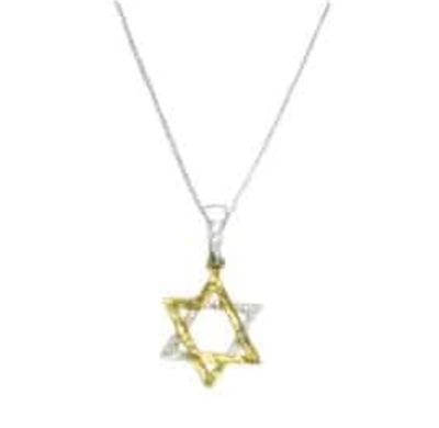 IMJ   Gold plated 2 tone Star of David Necklace