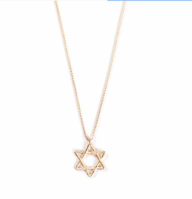 IMJ  14K Gold Star of David Pendant with chain