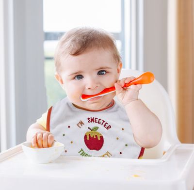 Rosh Hashanah Embroidered Bib