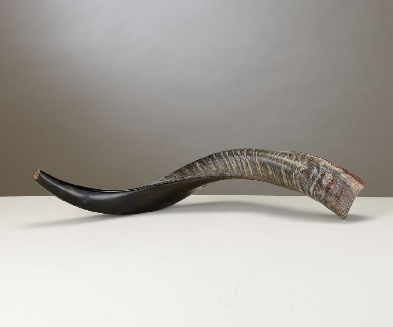 Yemenite Shofar