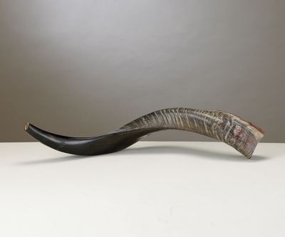 Yemenite Shofar