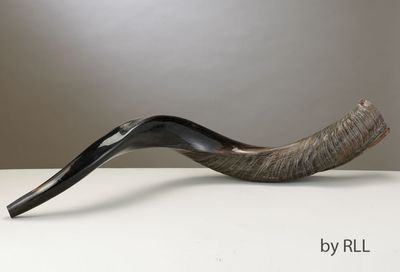 Yemenite Shofar Yemenite Shofar