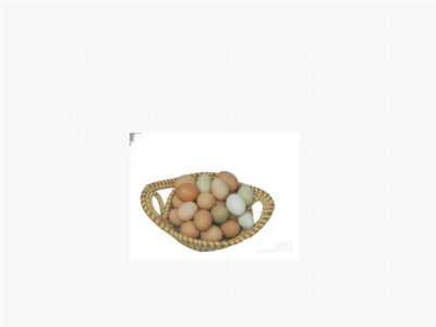 Dozen Chick Eggs