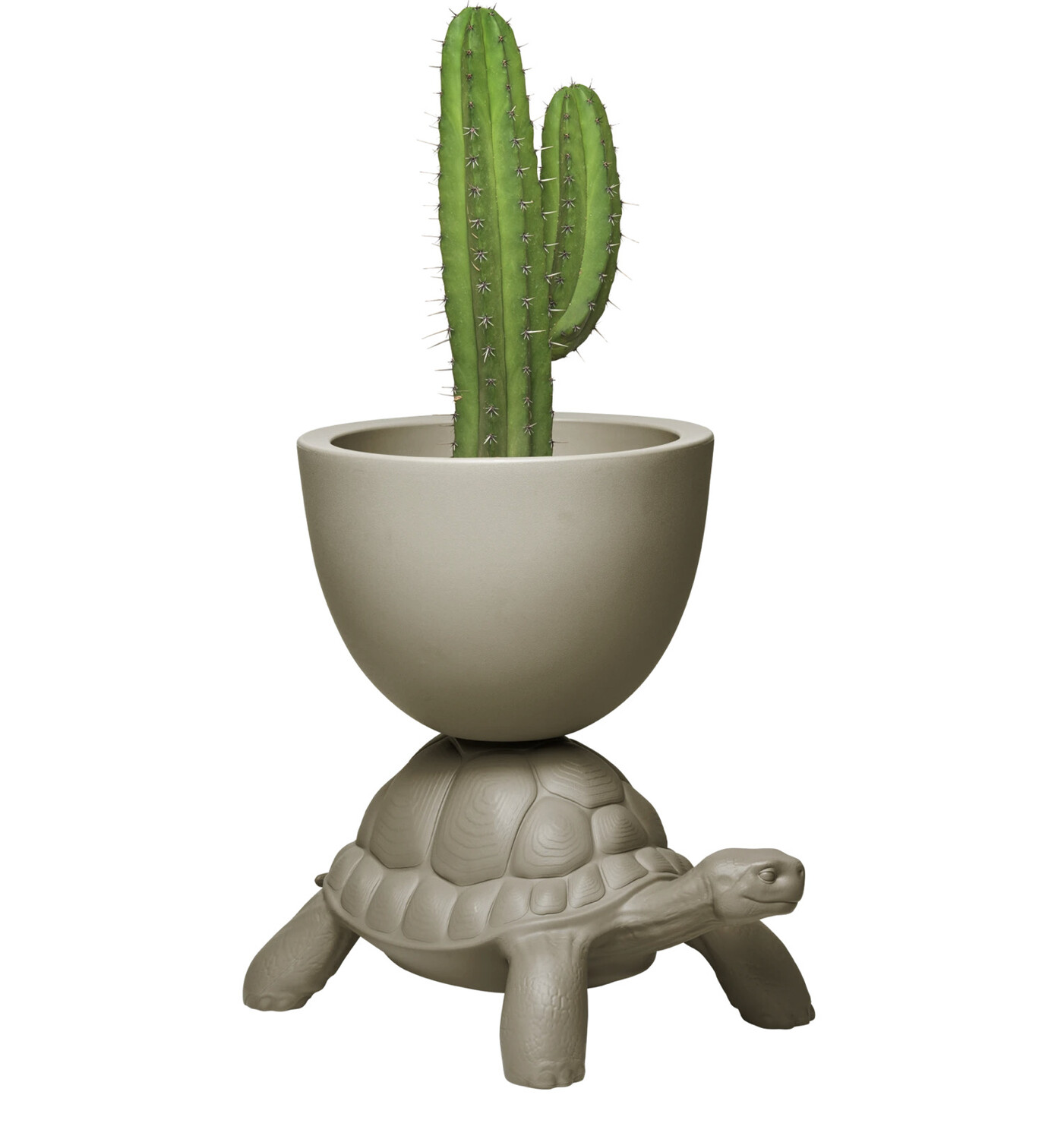 Tortue pot et seau à champagne QEEBOO