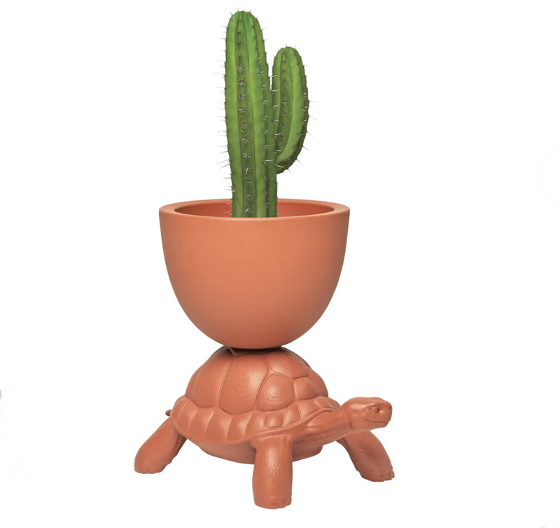 Tortue pot et seau à champagne QEEBOO terracotta