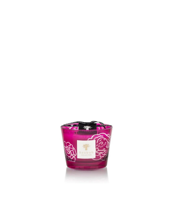 Bougie Baobab Roses Burgundy 10