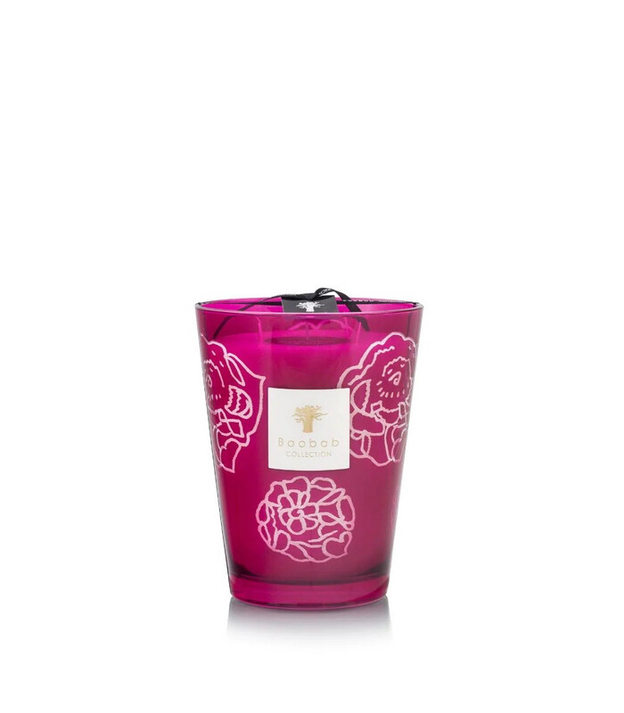 Bougie Baobab Roses Burgundy 24