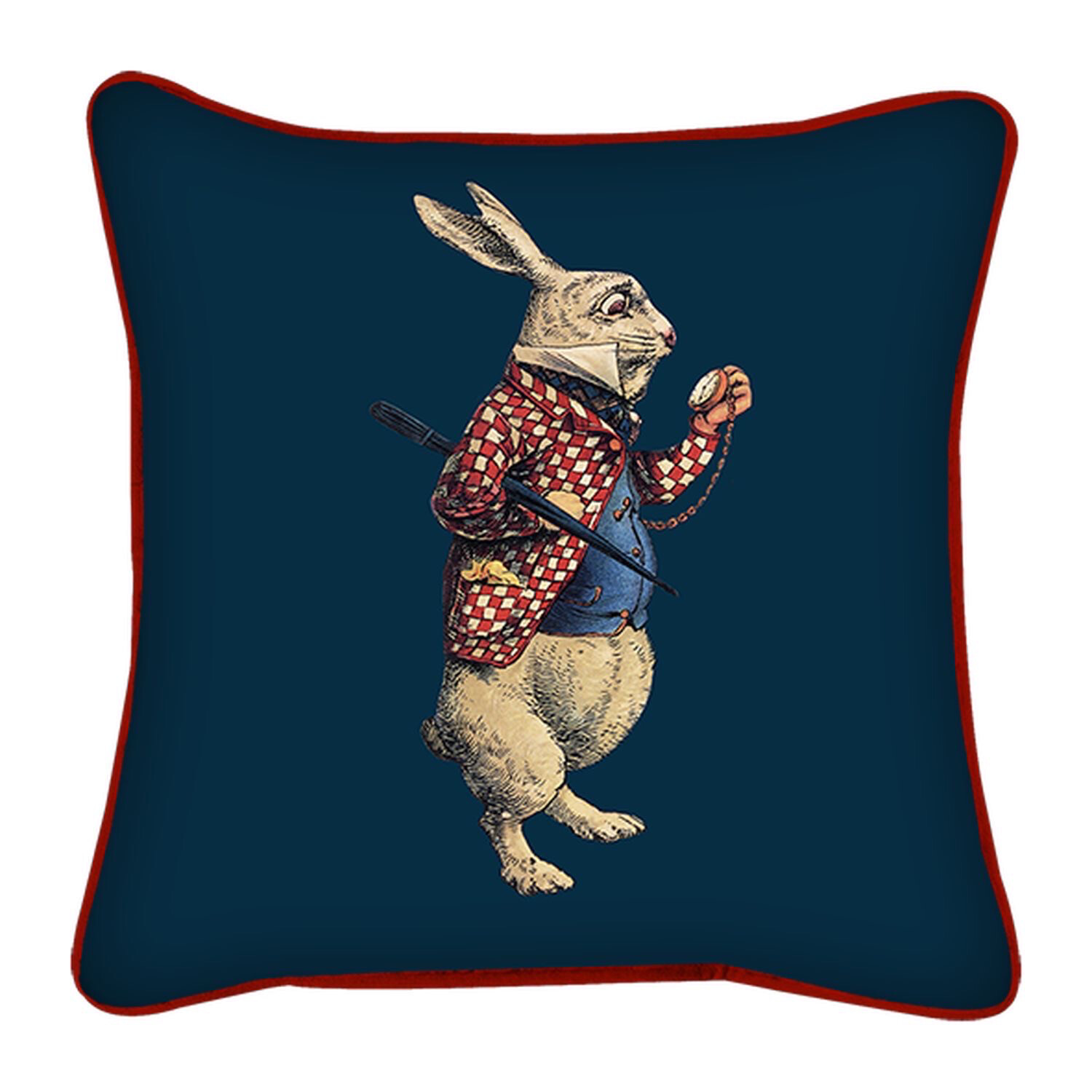 Coussin velours