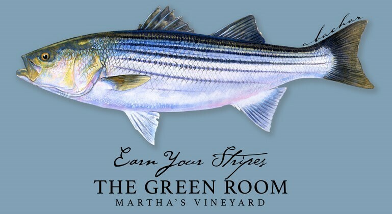 Green Room M's Bio Striper Tee MULTIPLE COLORS AVAILABLE