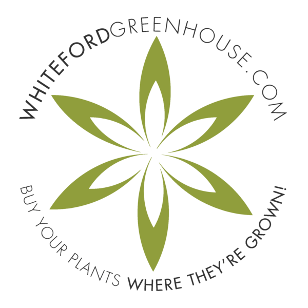 WHITEFORD GREENHOUSE - WEB STORE