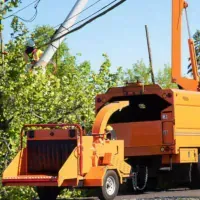 Post How to Start a Tree Trimming & Tree Care LLC