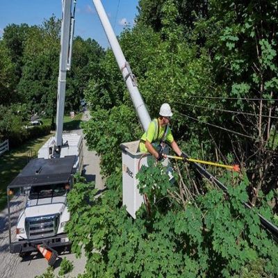 Best Arborist Ropes