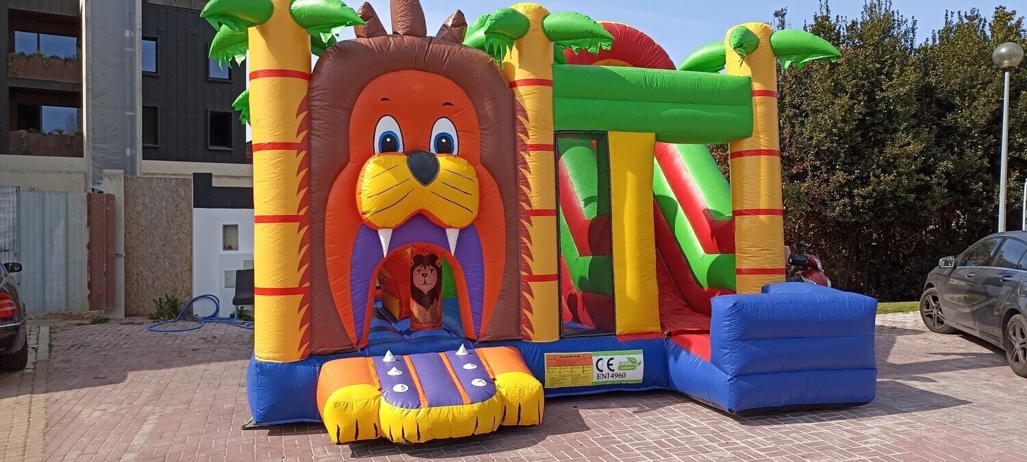 Insuflável Multiplay Leão!