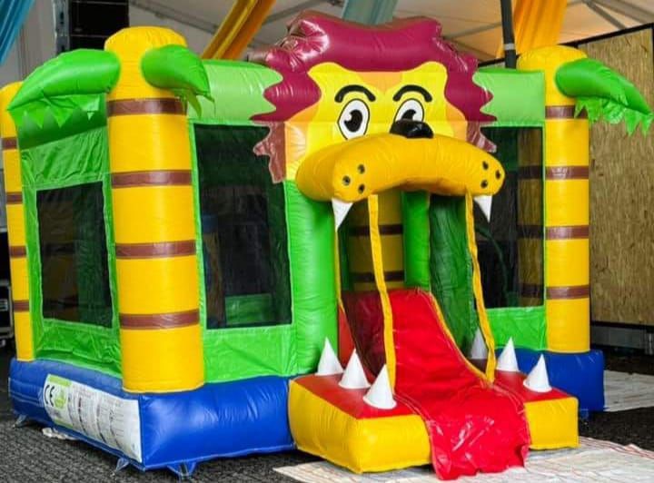 Insuflável Mini Multiplay Leão