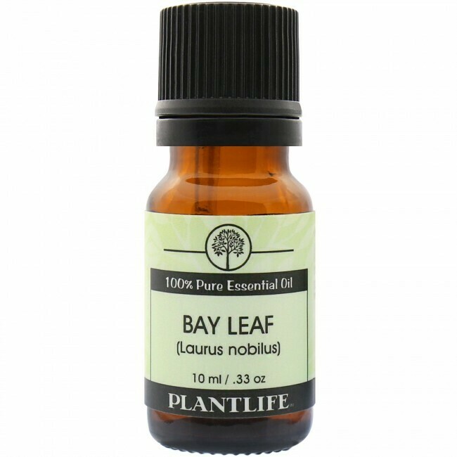 Essential Oil Bay Leaf  -10mls