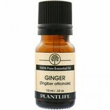 Essential Oil Ginger 10mls CLEAR OUT $8.50