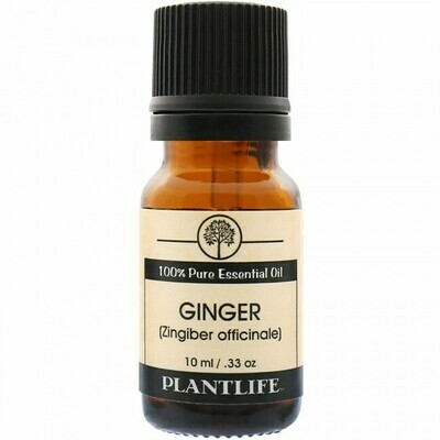 Essential Oil Ginger 10mls CLEAR OUT $8.50