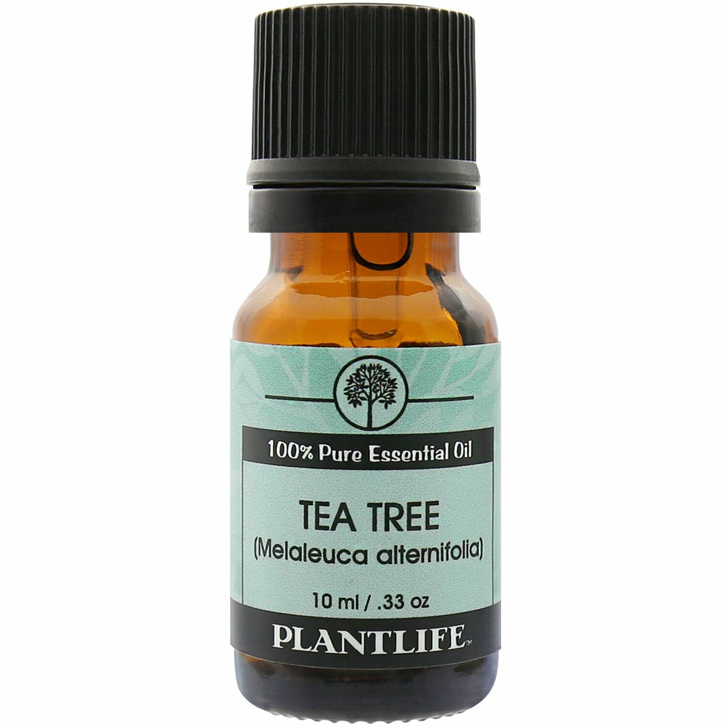Essential Oil Tea Tree- 10mls