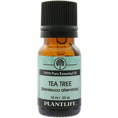 Essential Oil Tea Tree- 10mls