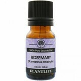 Essential Oil Rosemary-10mls