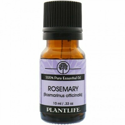 Essential Oil Rosemary-10mls