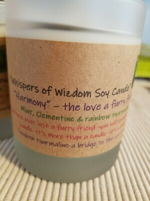 Judy's Soy Candle -Harmony  NEW scent of Citrus