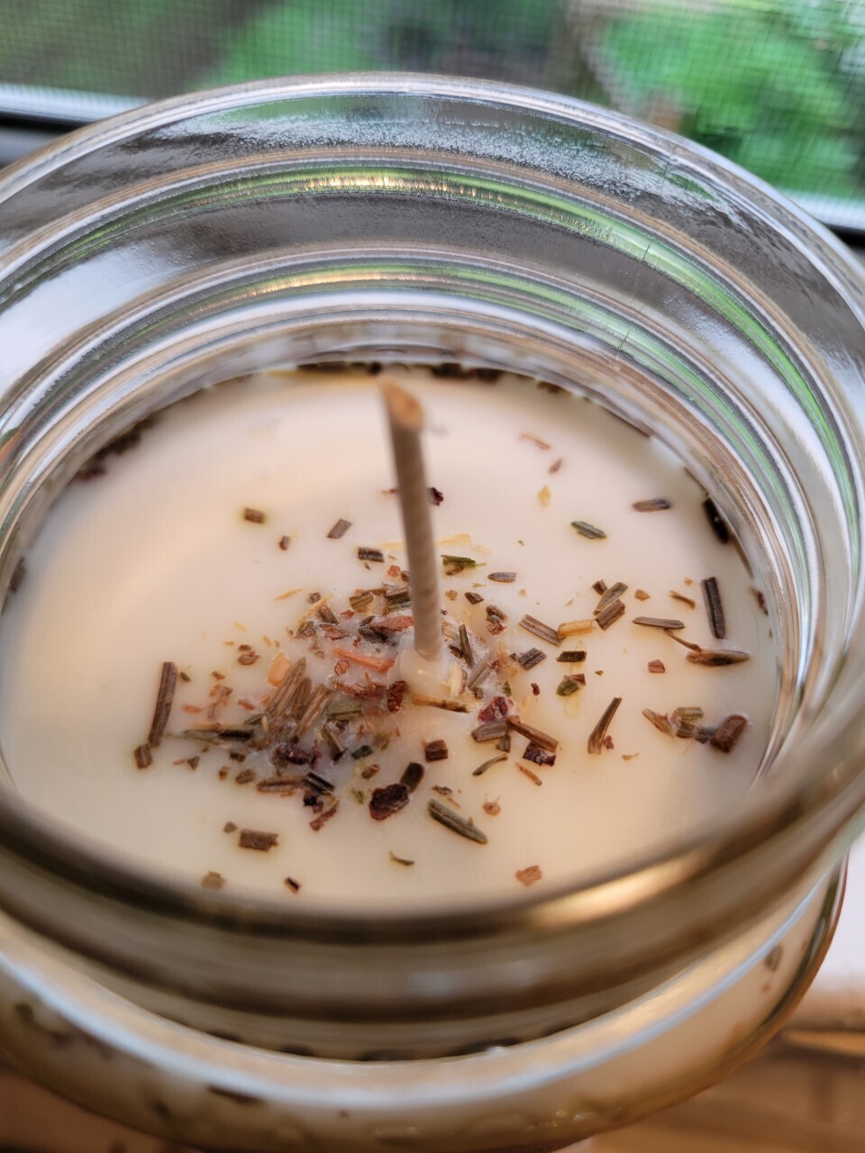 Judy's Soy Candle -Earth Connection-Blue Spruce
