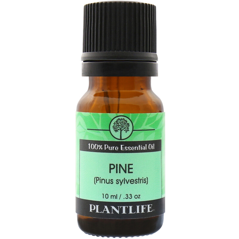 Essential Oil Pine -10mls