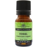 Essential Oil Sweet Fennel 10mls CLEAR OUT SALE $7.50