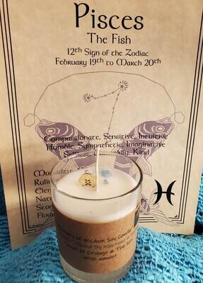 Judy's Soy Candle -Pisces