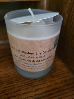 Judy's Soy Candle -Anti-Annoyance-Sea Scent Retiring SALE was $23.95