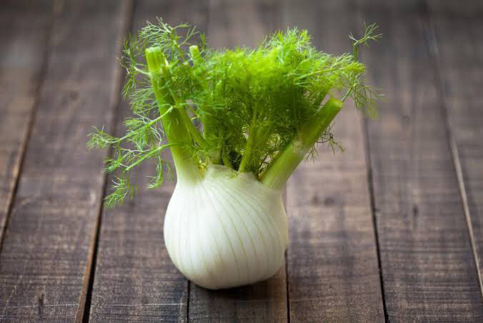 Fennel