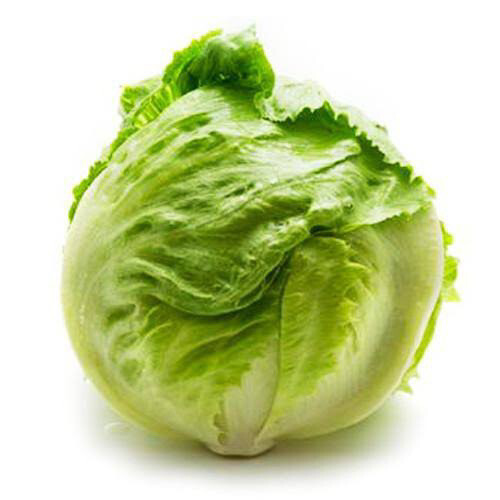 Iceberg Lettuce