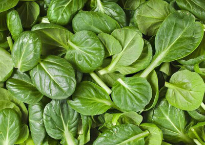 Baby Spinach Loose