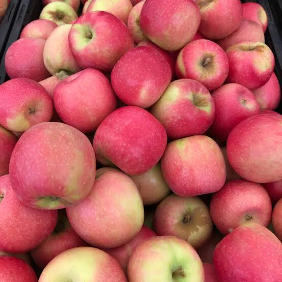 Apples Pink Lady (SMALL)