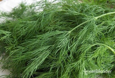 Dill Bunch