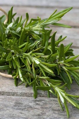 Rosemary Bunch