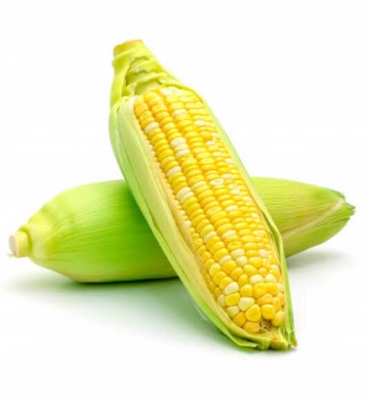 Corn