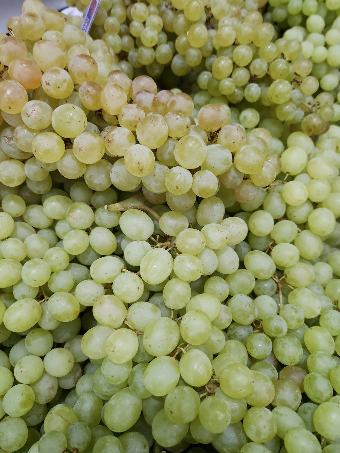 Sultana Grapes (Aus)
