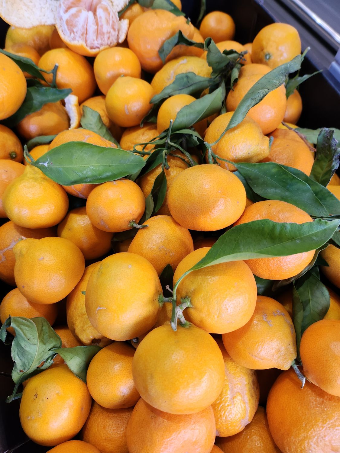 Easy Peel Mandarins (Aus) *New Season