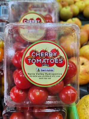 Cherry Tomato’s