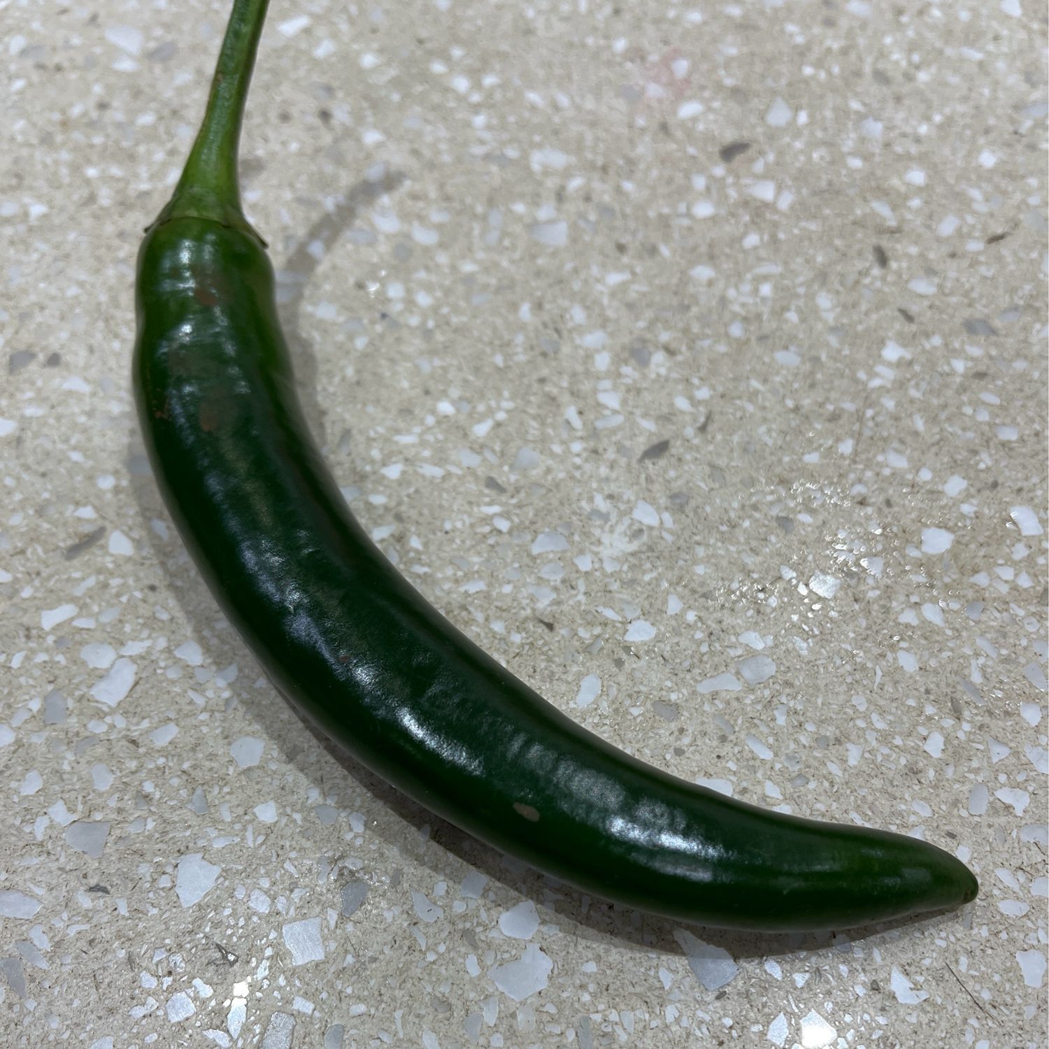 Green Chilli each