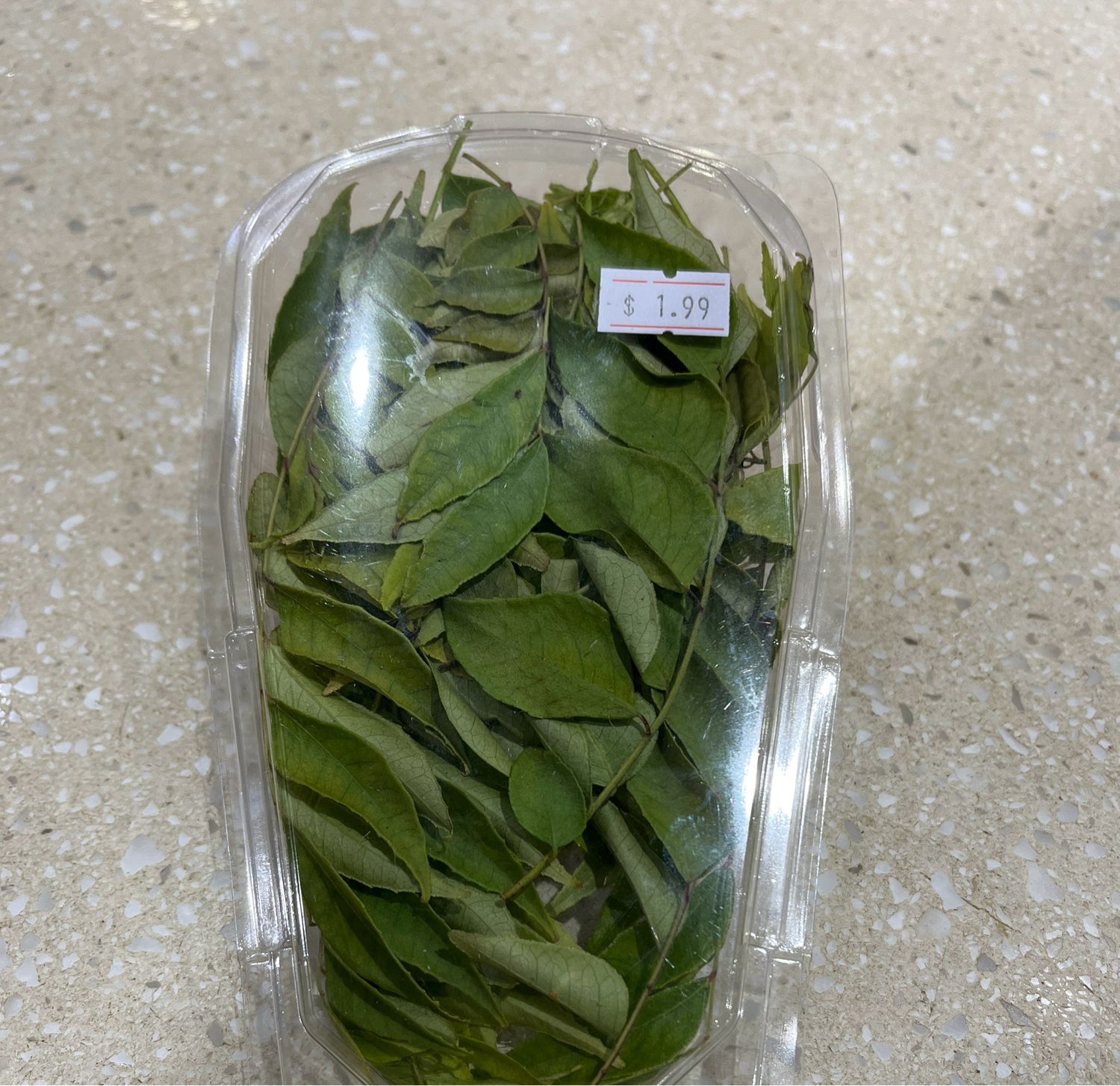 Curry Leaves
