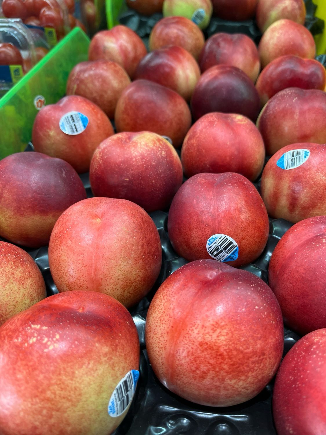 White Nectarines Premium (New Season)
